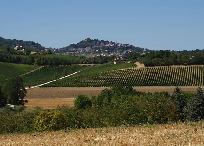 Agriturismo Al Colle